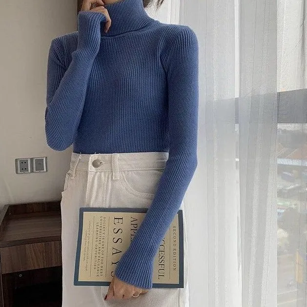 Ribbed Turtleneck Sweater