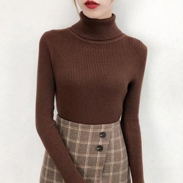 Ribbed Turtleneck Sweater