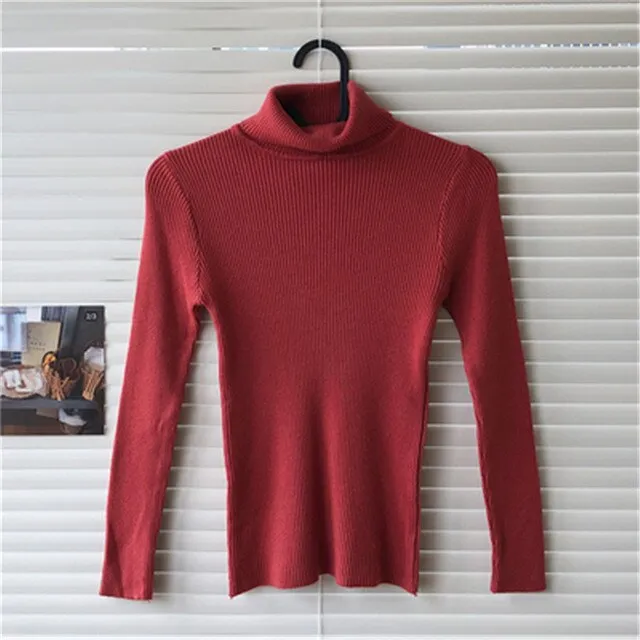 Ribbed Turtleneck Sweater