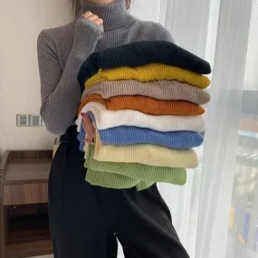 Ribbed Turtleneck Sweater