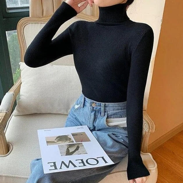 Ribbed Turtleneck Sweater