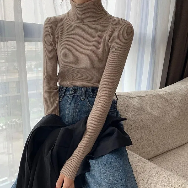 Ribbed Turtleneck Sweater
