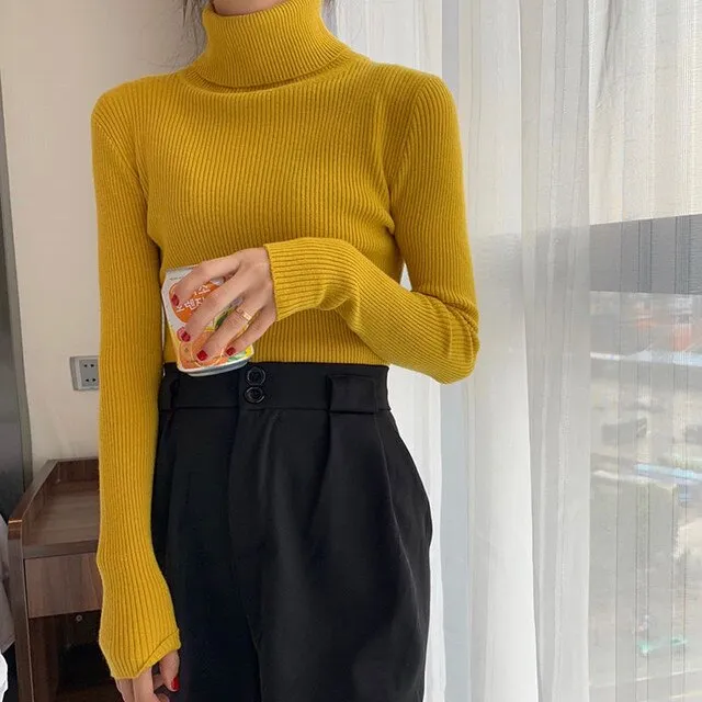 Ribbed Turtleneck Sweater