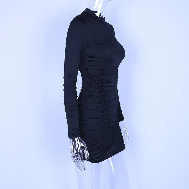 VenusFox women long sleeve high neck mini dress